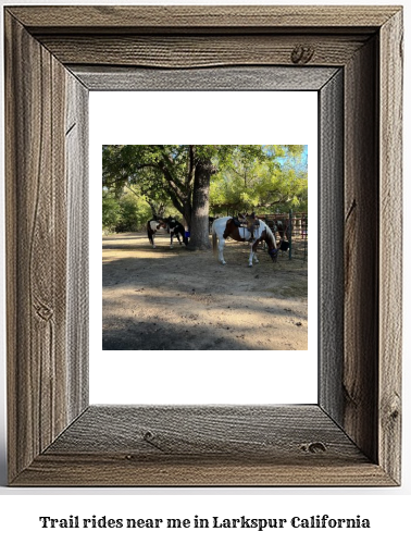 trail rides near me in Larkspur, California